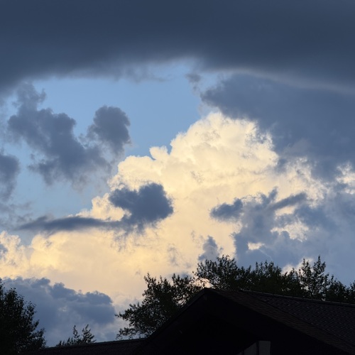 Photo #13771019