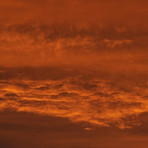 Photo #13771025