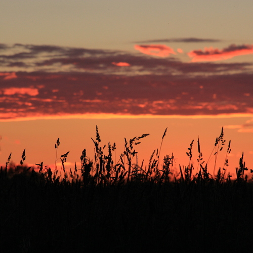 Photo #13771080