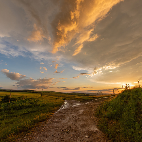 Photo #13771126