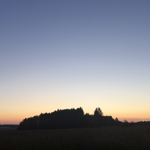 Photo #13771223