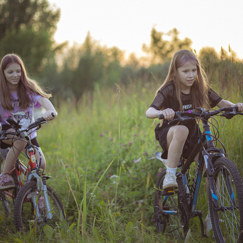 Photo #13771289