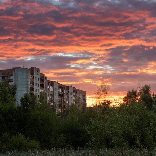 Photo #13771293