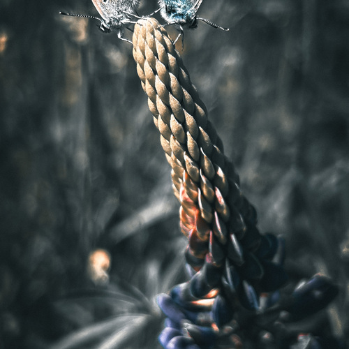 Photo #13771457