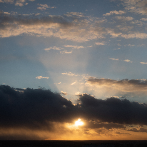 Photo #13771458