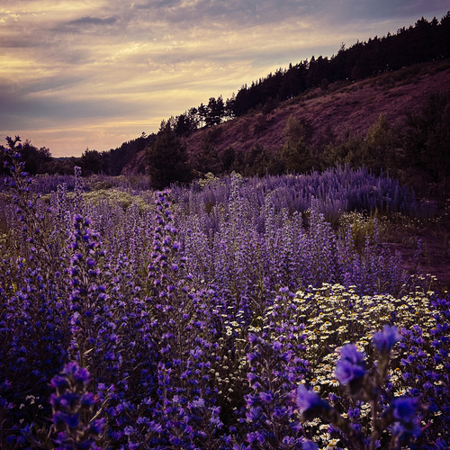 Photo #13771508