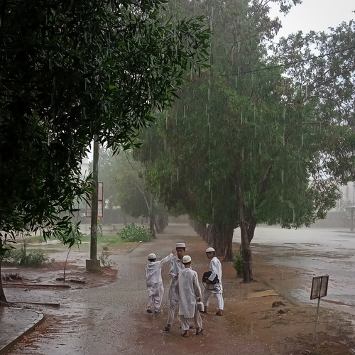 Photo #13771554