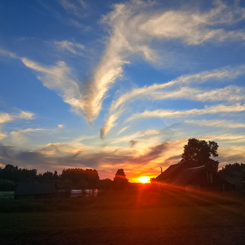 Photo #13771560