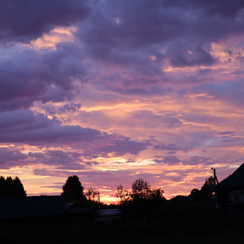 Photo #13771623