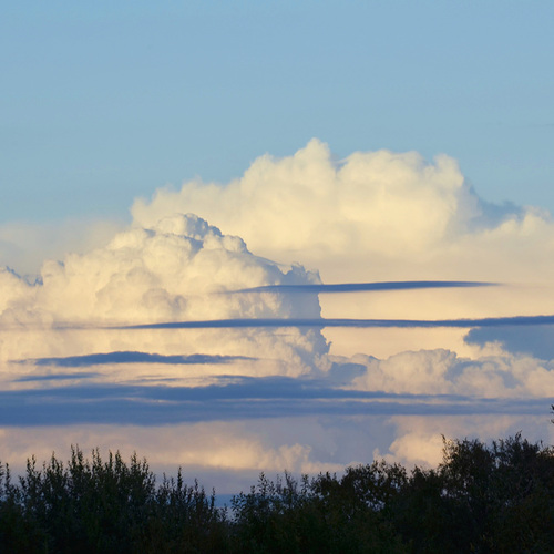 Photo #13771633