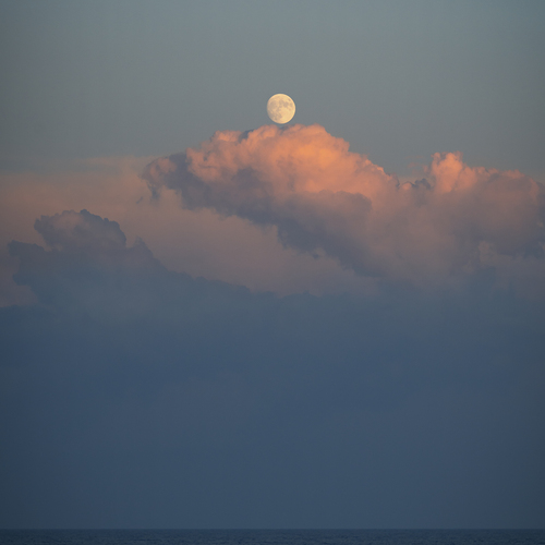 Photo #13771710