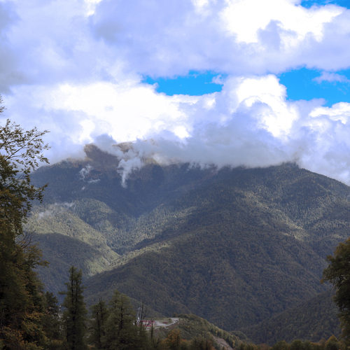 Photo #13771806