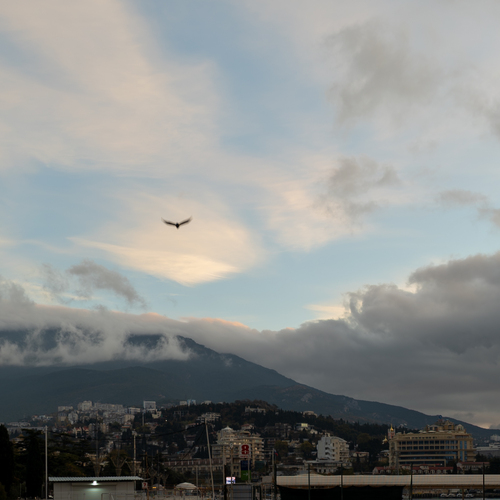 Photo #13771864