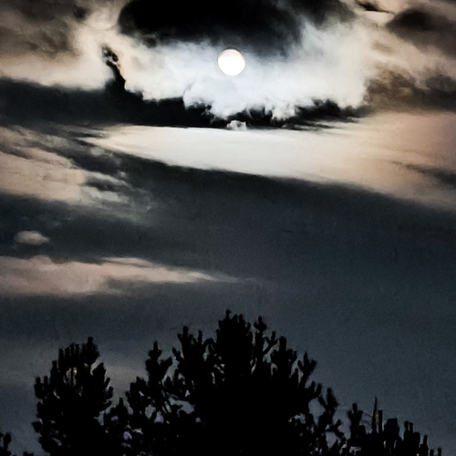 Photo #13771877