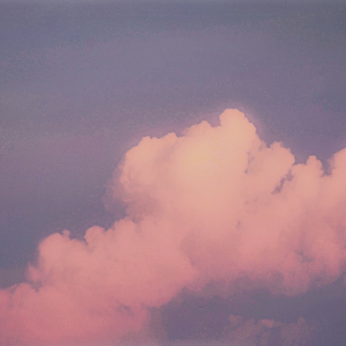 Photo #13771912