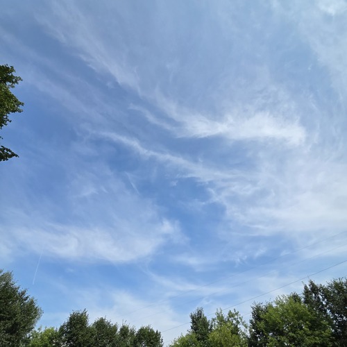 Photo #13771917