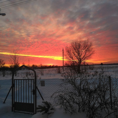 Photo #13771918