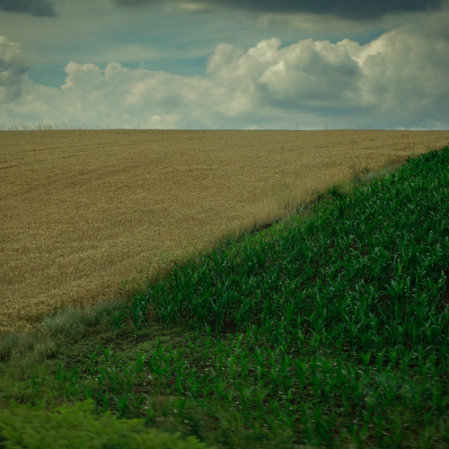 Photo #13771920