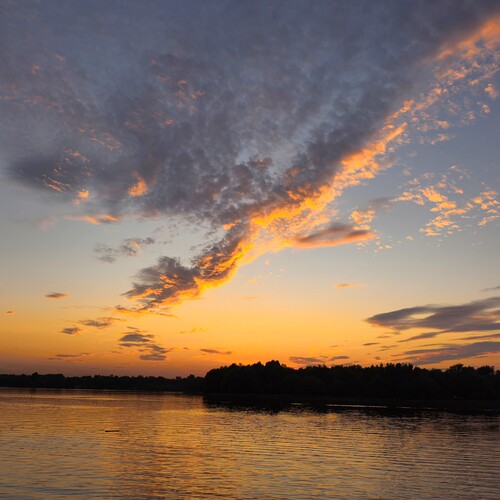 Photo #13771930