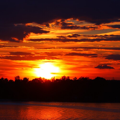 Photo #13771961