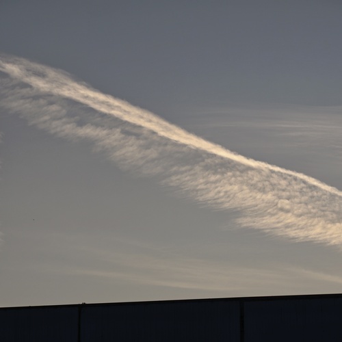 Photo #13771967