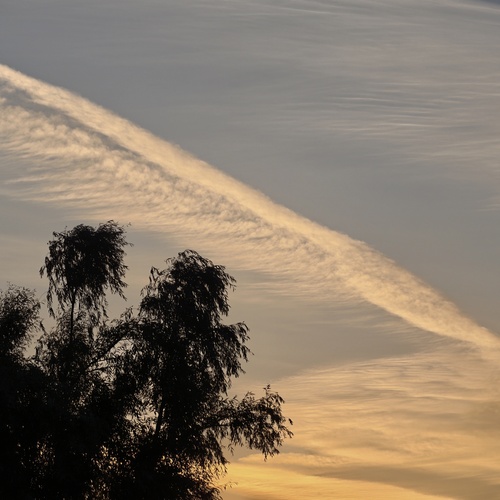 Photo #13771968