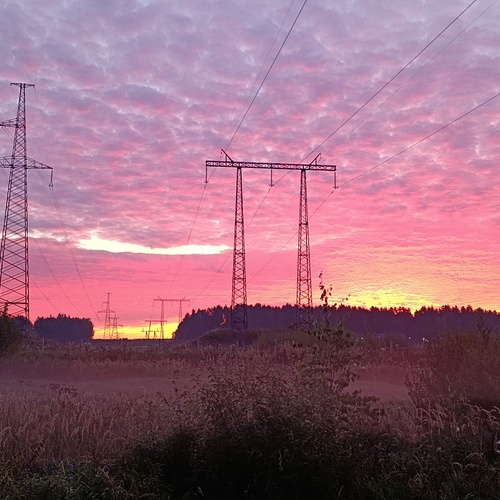 Photo #13772000