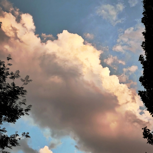 Photo #13772064