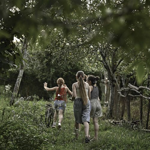 Photo #13772101