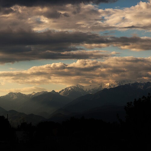Photo #13772138