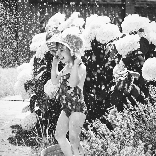 Photo #13772144