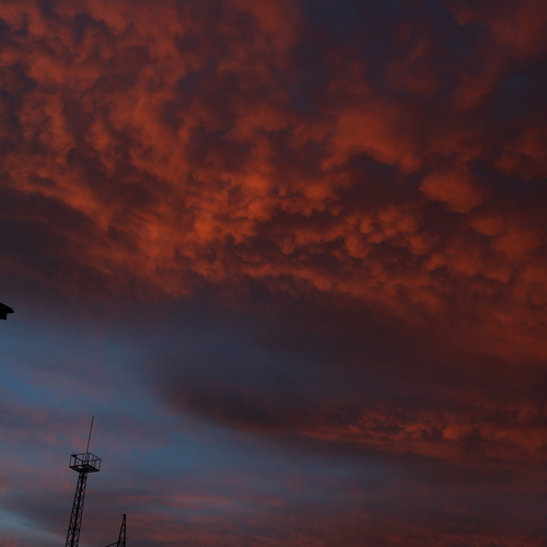 Photo #13772233