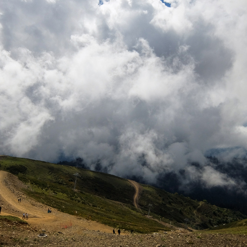 Photo #13772240
