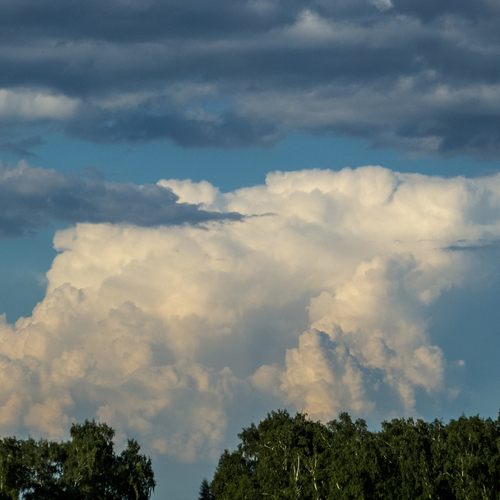 Photo #13772246