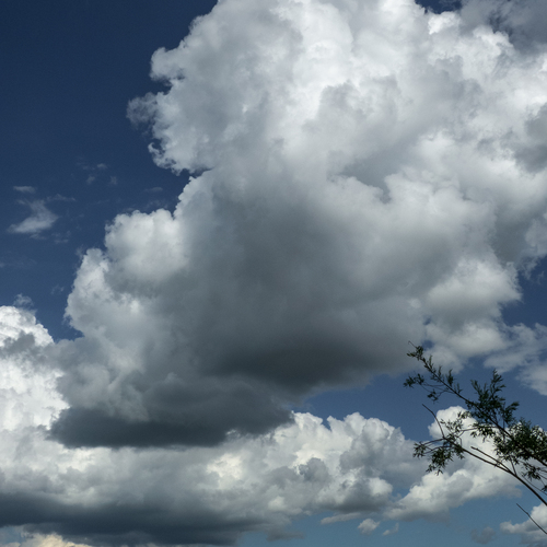 Photo #13772274