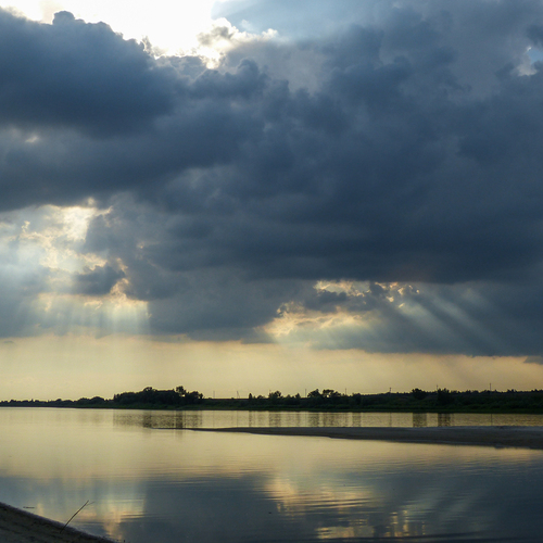 Photo #13772275