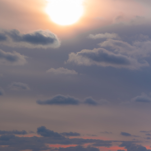 Photo #13772322