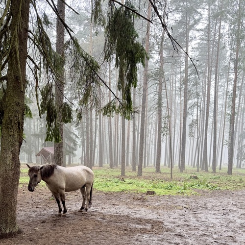 Photo #13772357