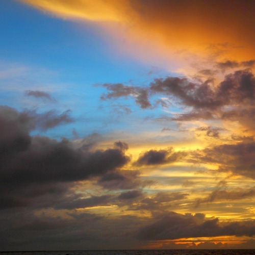 Photo #13772378