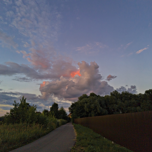 Photo #13772412