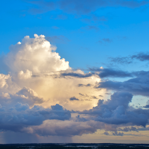 Photo #13772429