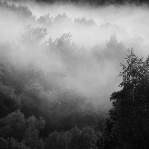 Photo #13772459