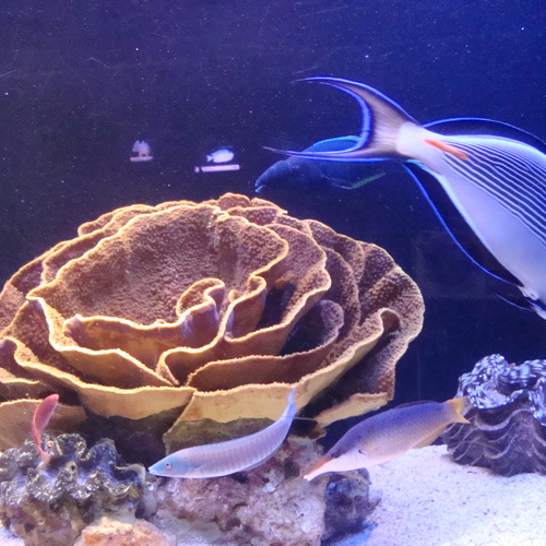 Photo #13772487