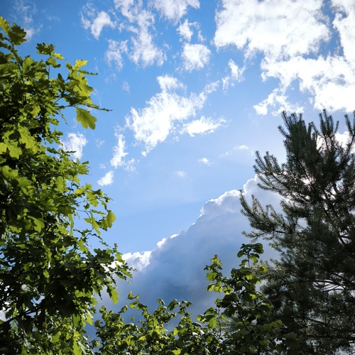 Photo #13772511