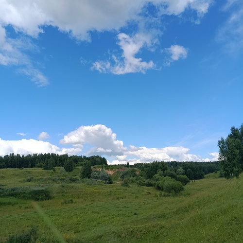 Photo #13772512
