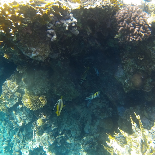 Photo #13772513