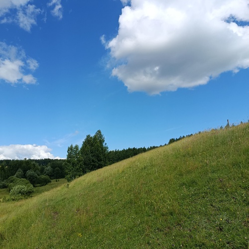 Photo #13772515