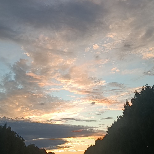 Photo #13772519