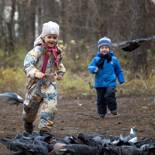 Photo #13772522