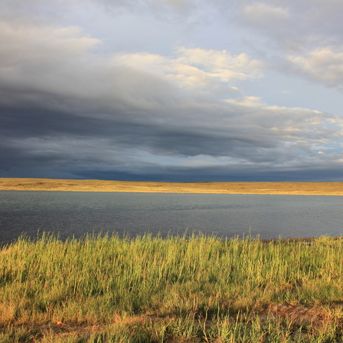 Photo #13772625
